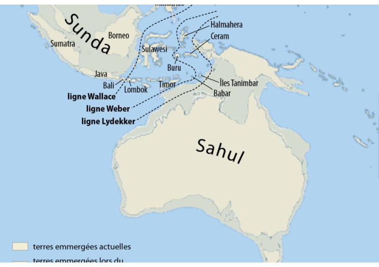 Le mystère des origines des aborigènes d'Australie ?